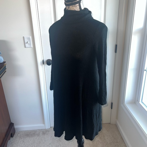 American Eagle Stretchy Cotton Dress with Turtleneck - Picture 5 of 5